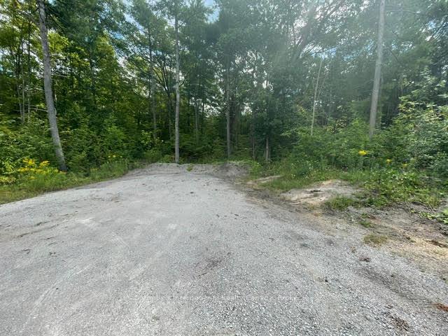 7859 Pineridge Road, Ramara, ON, exterior