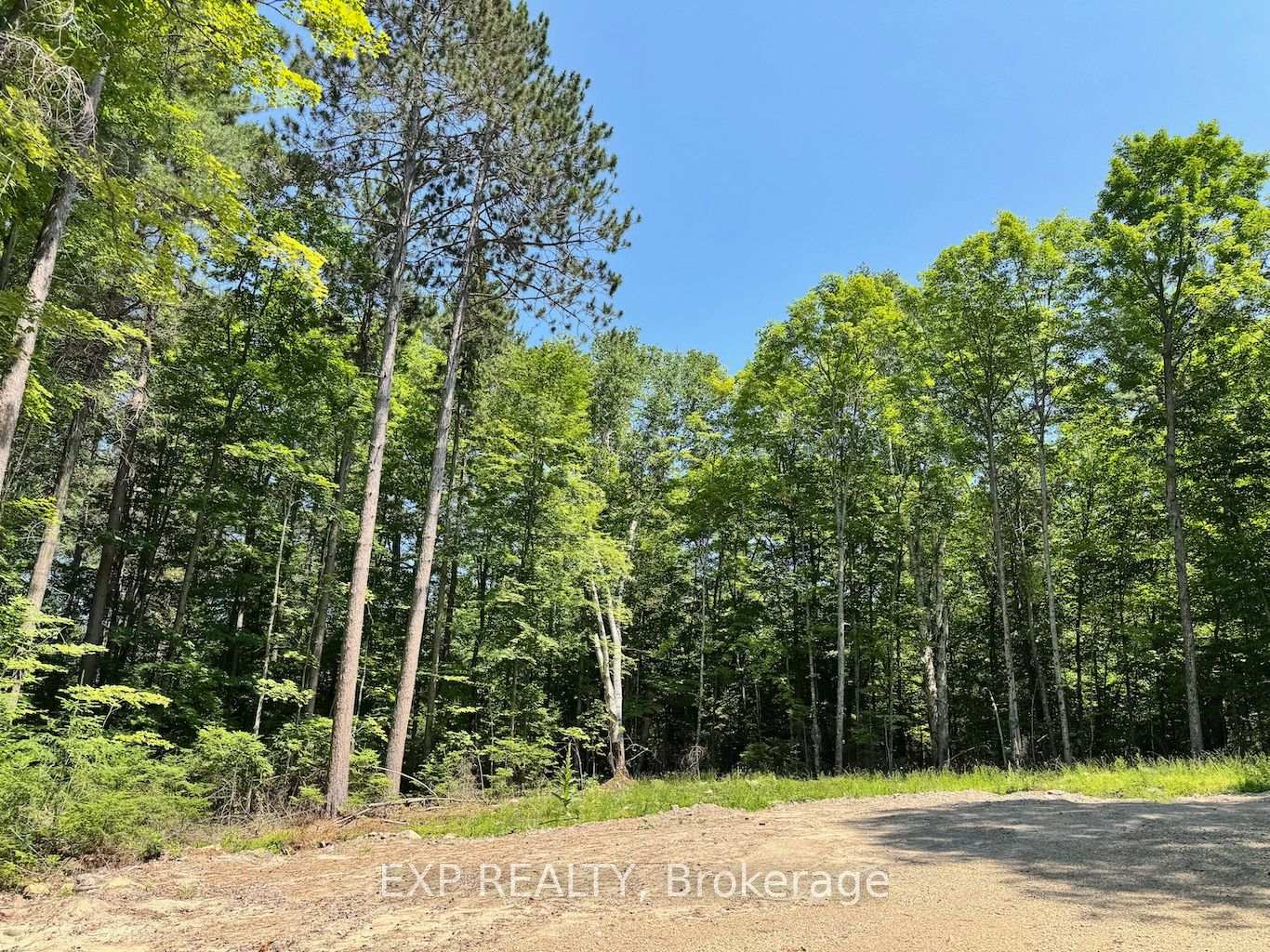 Lot 17 Lakewoods Drive, Madawaska Valley, ON, exterior