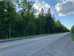 0 PT LT 32 COUNTY ROAD 49 Road, Trent Lakes, ON, exterior