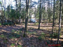 PCL 20438 & 29803 Upper Walker Lake Road, Lake of Bays, ON, exterior