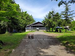 246 Hickey Trail, Hastings Highlands, ON, exterior