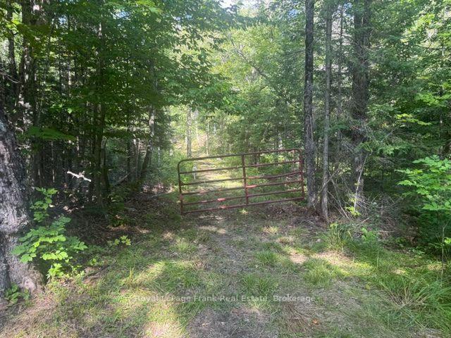 905 & 841 North McKenzie Lake Road, South Algonquin, ON, exterior