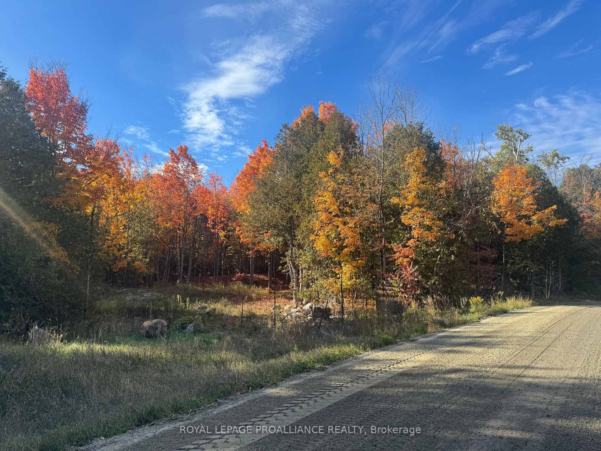 Lot 2 Vansickle Road N, Havelock-Belmont-Methuen, ON, exterior