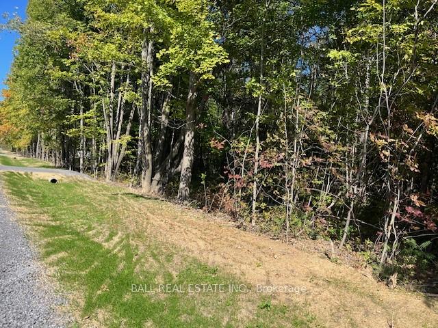 Pt 33A & Pt 33B Autumn Road N, Trent Hills, ON, exterior