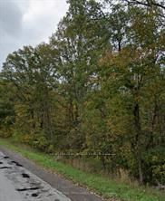 1234 Cooke Road, Stirling-Rawdon, ON, exterior