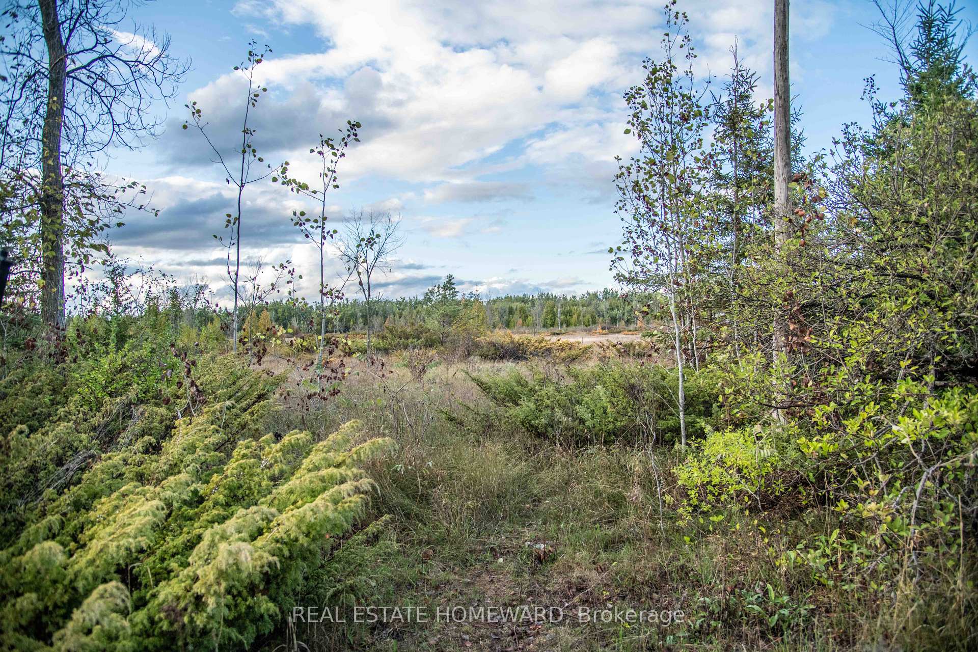 254-256 McGuire Beach Road, Kawartha Lakes, ON, exterior