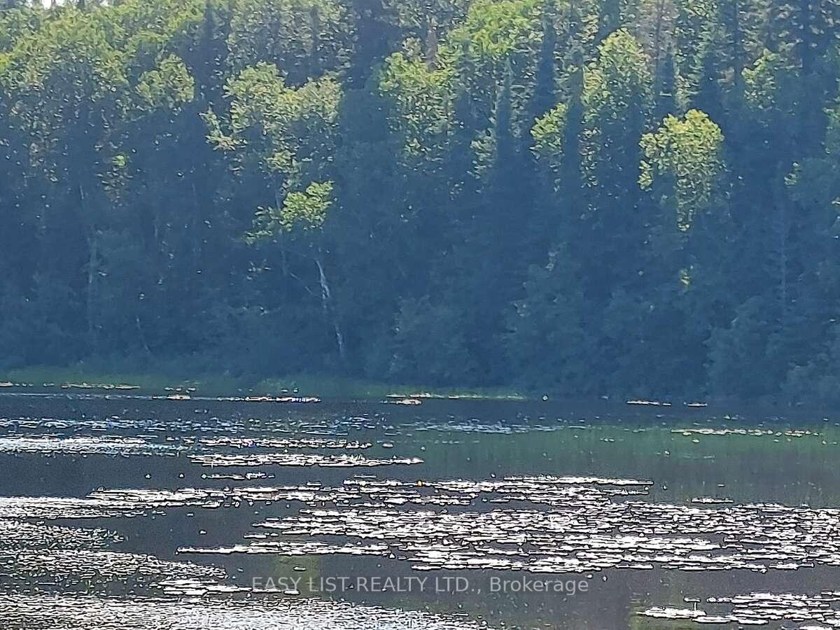 Lot 11 Catfish Lake Road, Wawa, ON, exterior