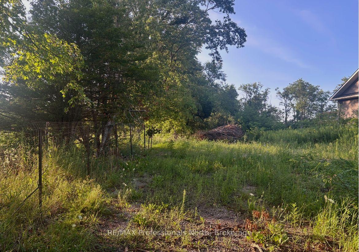 4437 Highway 7 N/A, Kawartha Lakes, ON, exterior