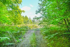 Lot 5 SIXTH Street, South Bruce Peninsula, ON, exterior