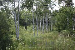 380 Highway 15 Highway, Rideau Lakes, ON, exterior