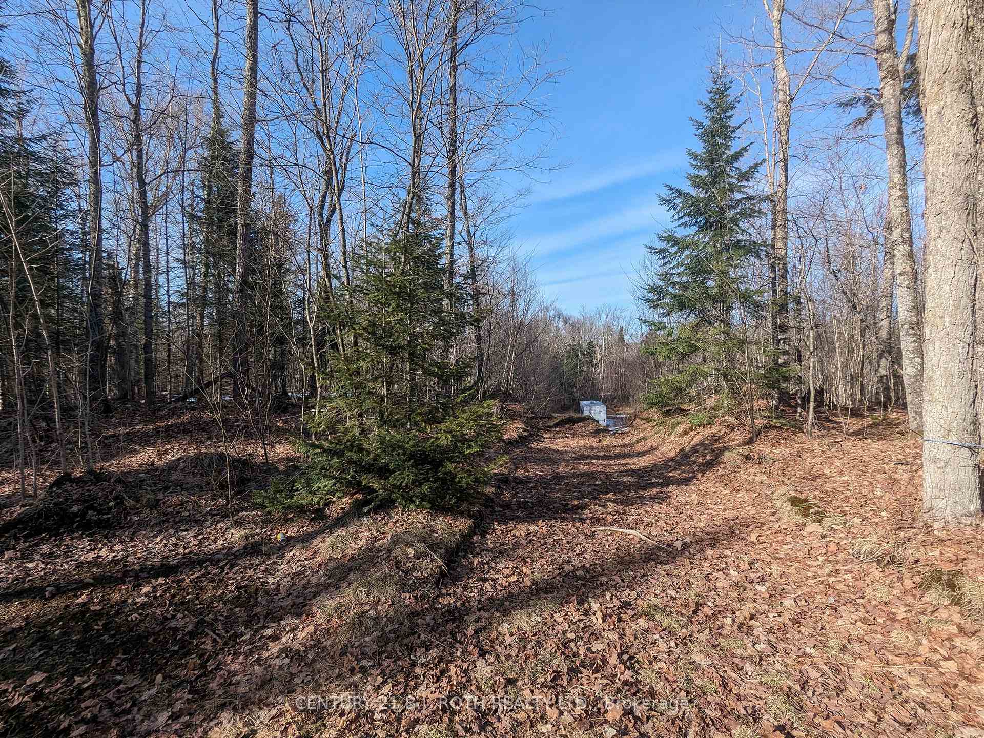 11146 Highway 118 N/A, Algonquin Highlands, ON, exterior