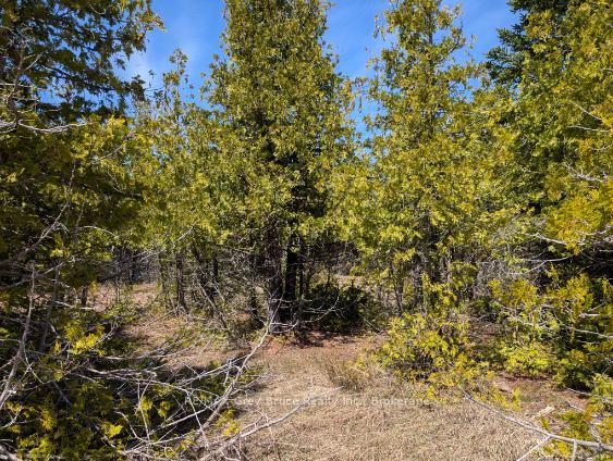 0 Sutter Road, Northern Bruce Peninsula, ON, exterior