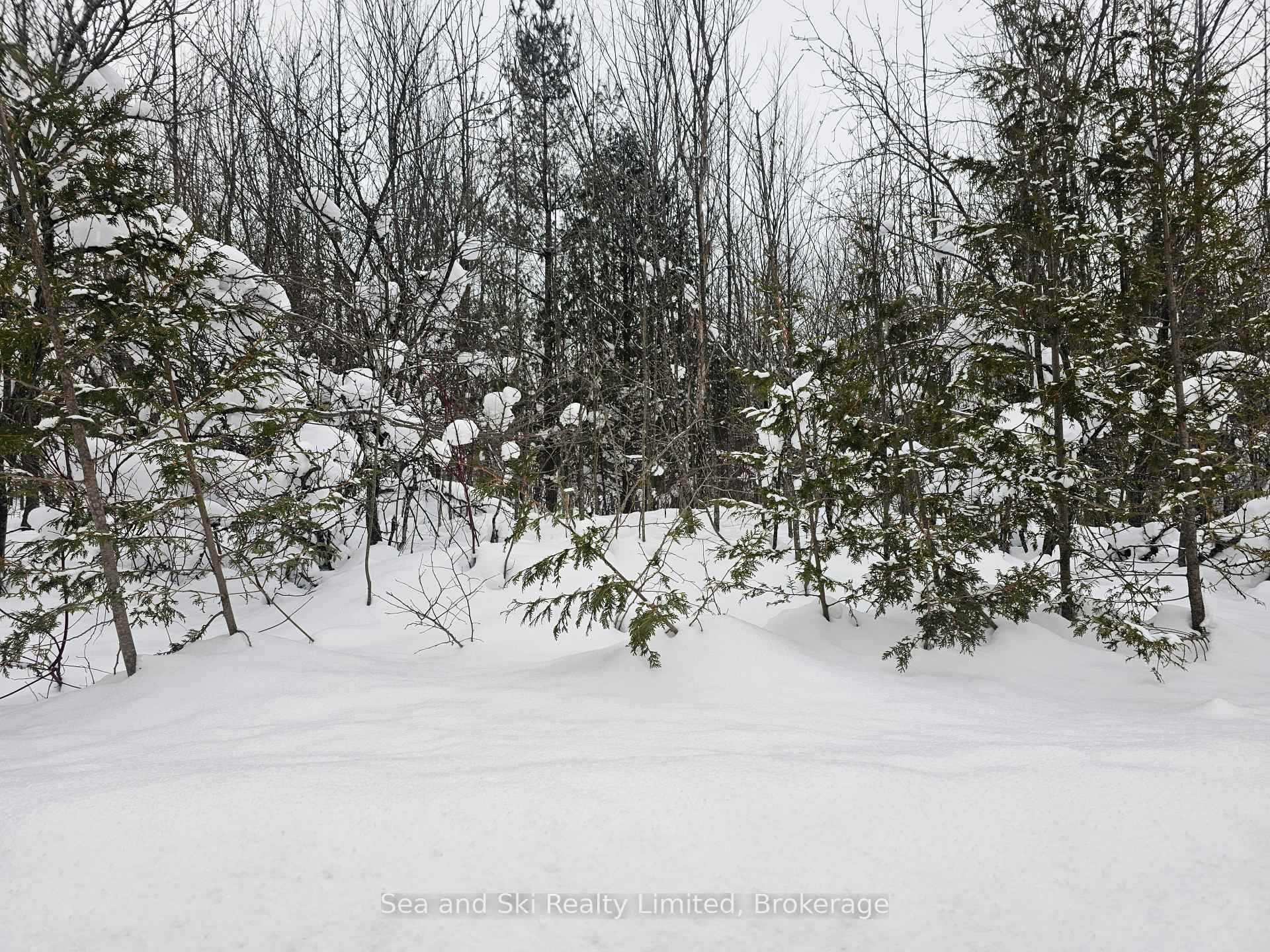 180 Bowles Bluff Road, Grey Highlands, ON, exterior