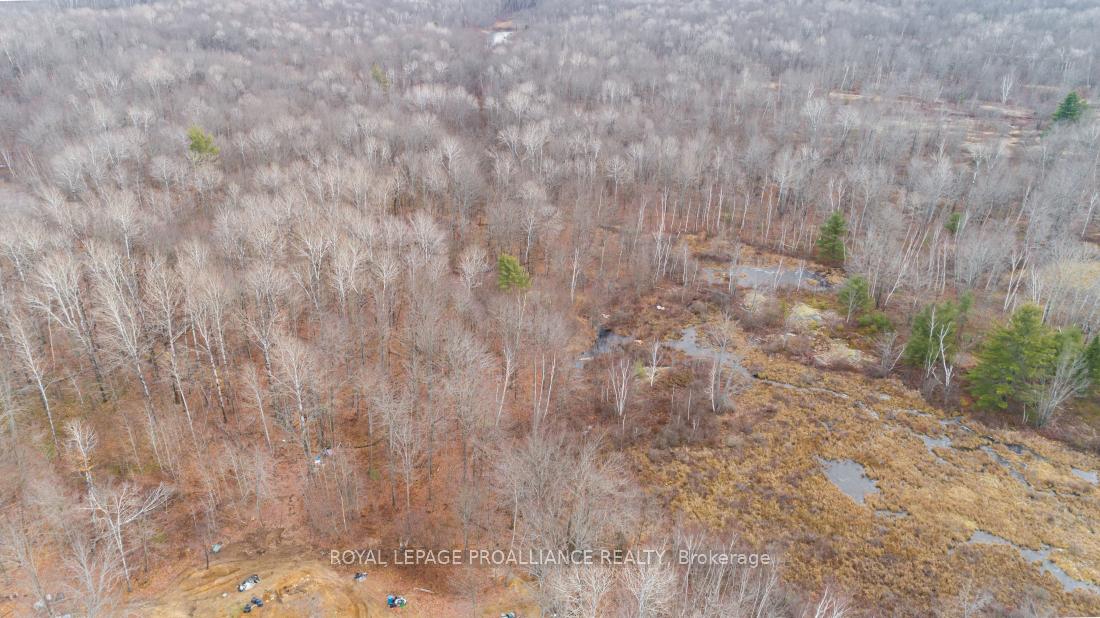 1446 Flinton Road, Tweed, ON, exterior