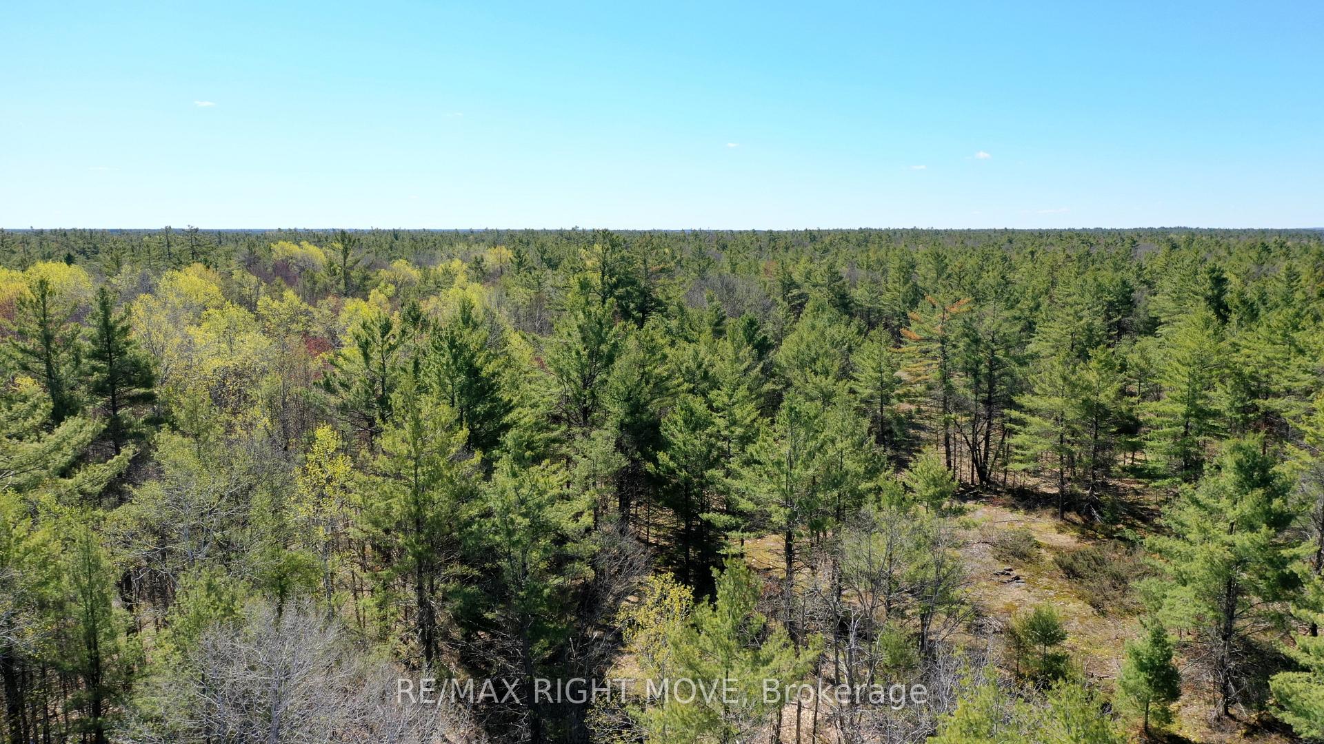 2503 Southwood Road, Gravenhurst, ON, exterior