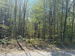 429 Britannia Road, Huntsville, ON, exterior