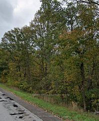Pt 1 - 1222 Cooke Road, Stirling-Rawdon, ON, exterior