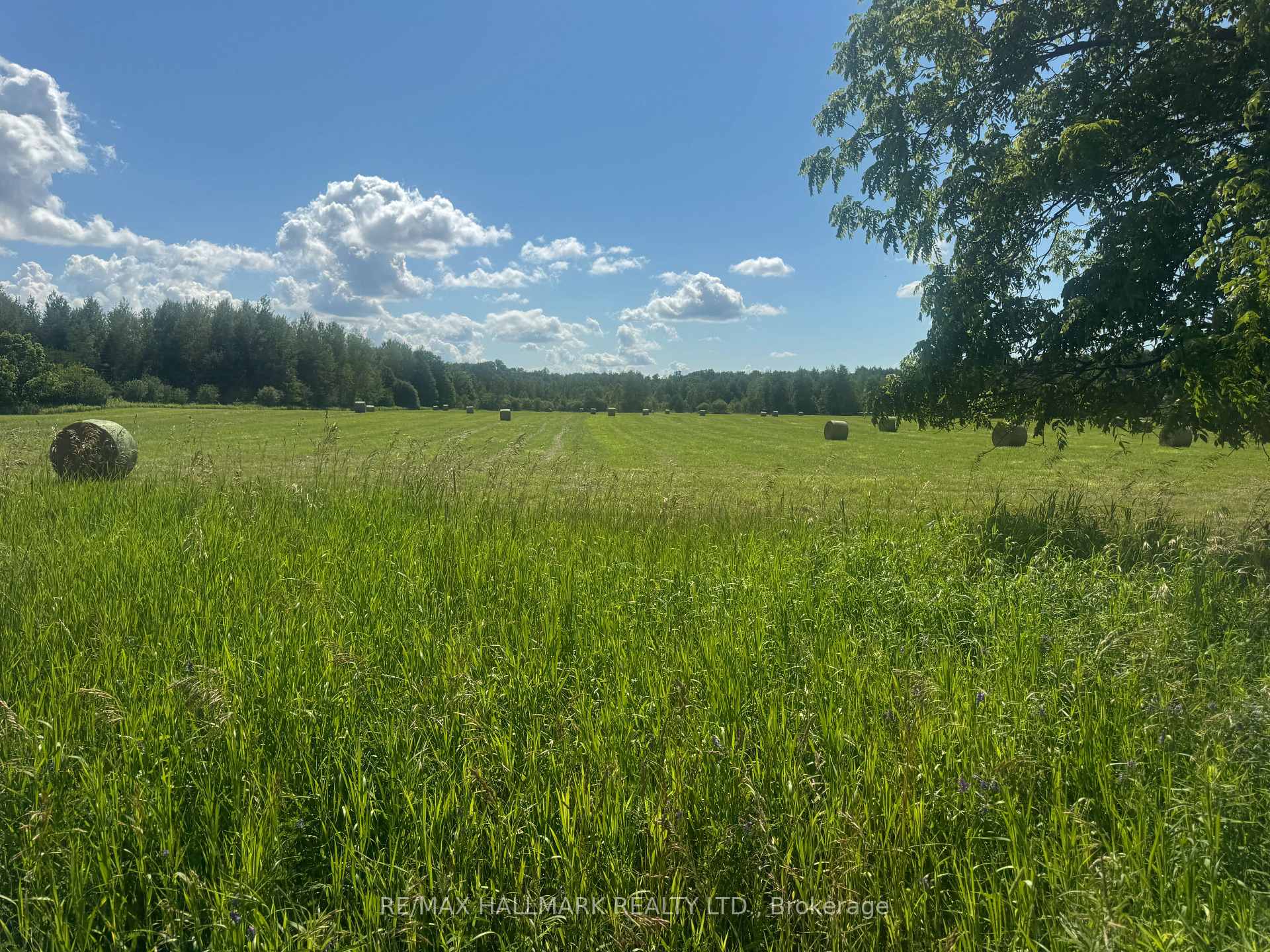 17236 Kennedy Road, Whitchurch-Stouffville, ON, exterior