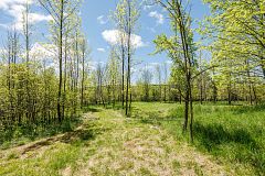 PT LT 12 Part 1 18 Grey Road, Meaford, ON, exterior