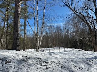 9 - Part 6 of Part of Lot 18 Concession, Lake of Bays, ON, exterior