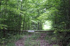 PT LT 15 CON 13 Concession 14 Road, Georgian Bluffs, ON, exterior