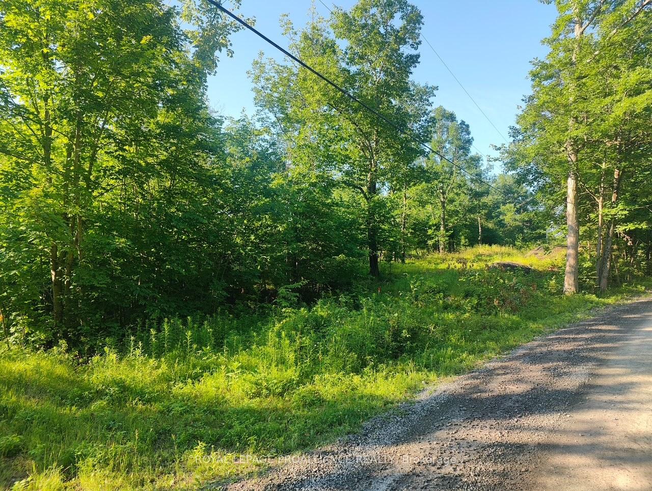 621A Cook Road, Marmora and Lake, ON, exterior