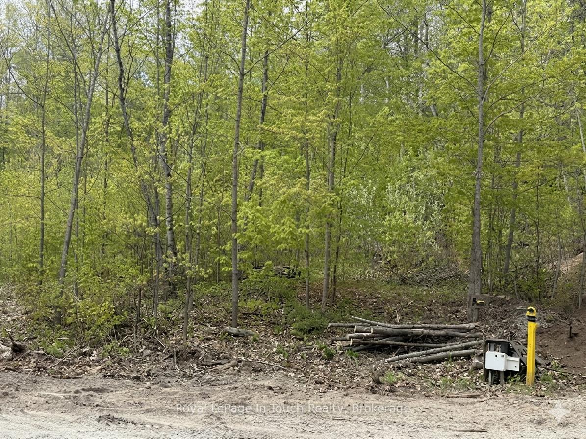 1536 CHAMPLAIN Road, Tiny, ON, exterior