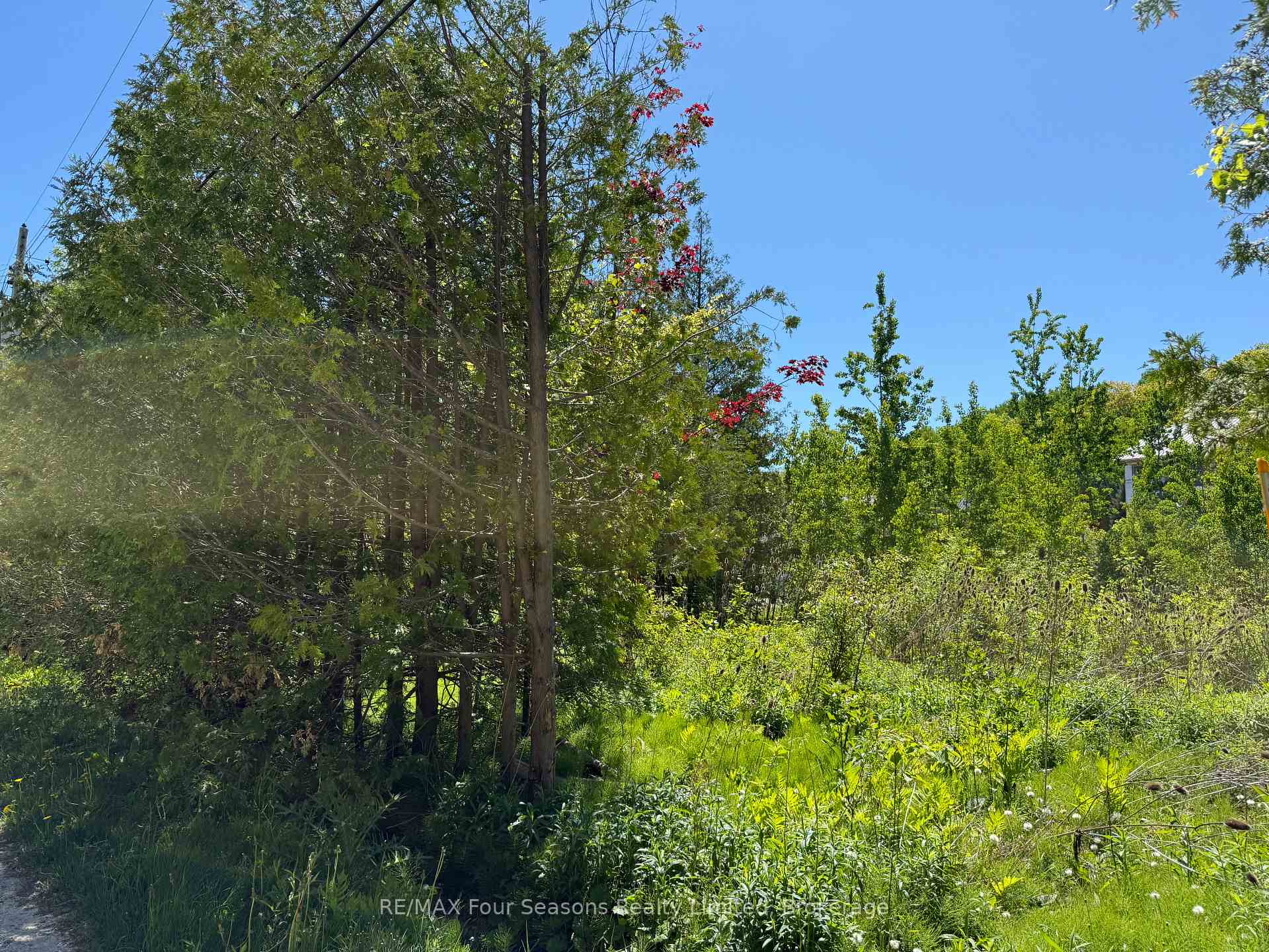 122 JAMES Street, Blue Mountains, ON, exterior