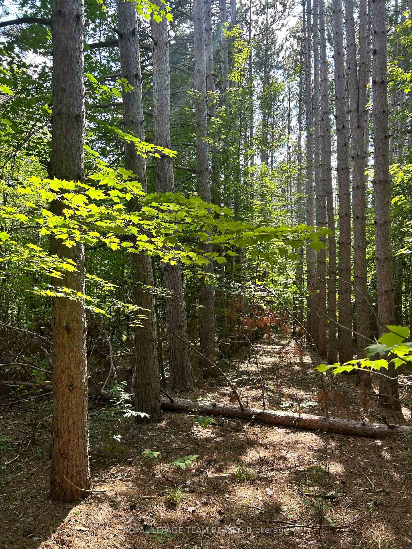 Lot 8 Pond Road, Tay Valley, ON, exterior