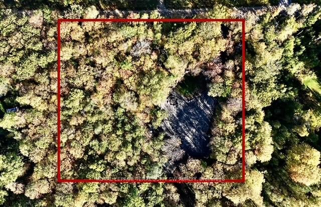 1394 Bartlett Lake Road, Ryerson, ON, exterior