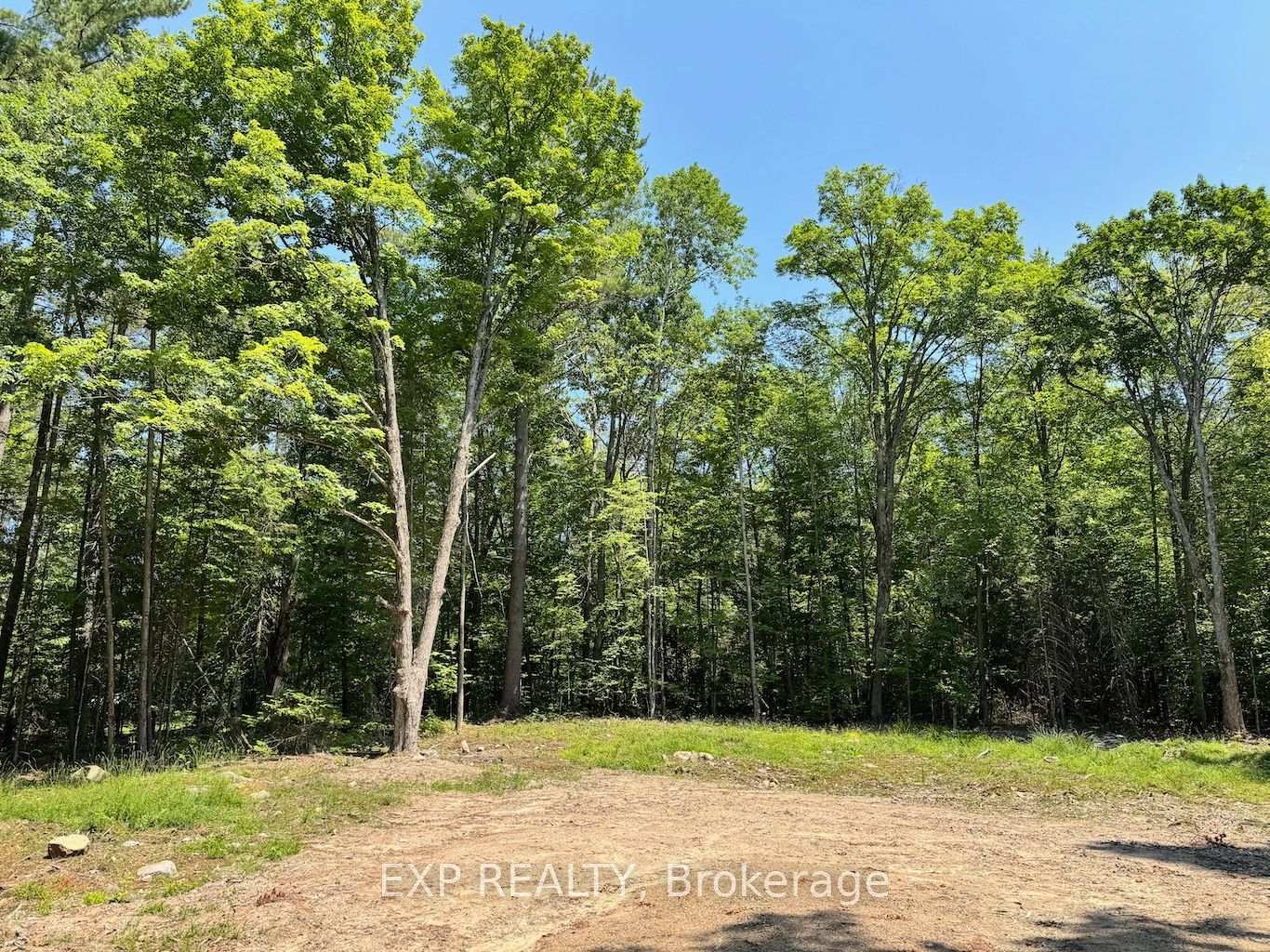 Lot 21 Lakewoods Drive, Madawaska Valley, ON, exterior