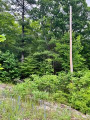 0 (PIN - 40264-0091) Potter Settlement Road, Tweed, ON, exterior