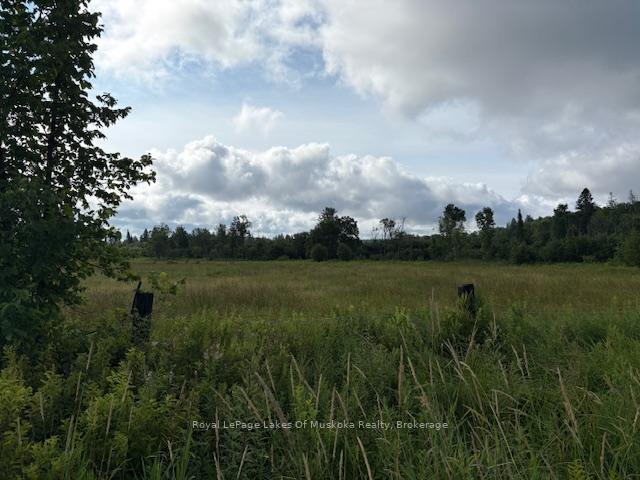 0 Old Muskoka to the West Side of #1105 Road, Huntsville, ON, exterior