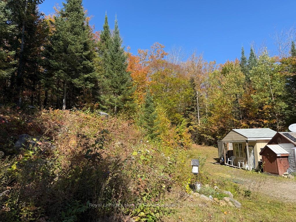 1118 Stoney Road, Ryerson, ON, exterior