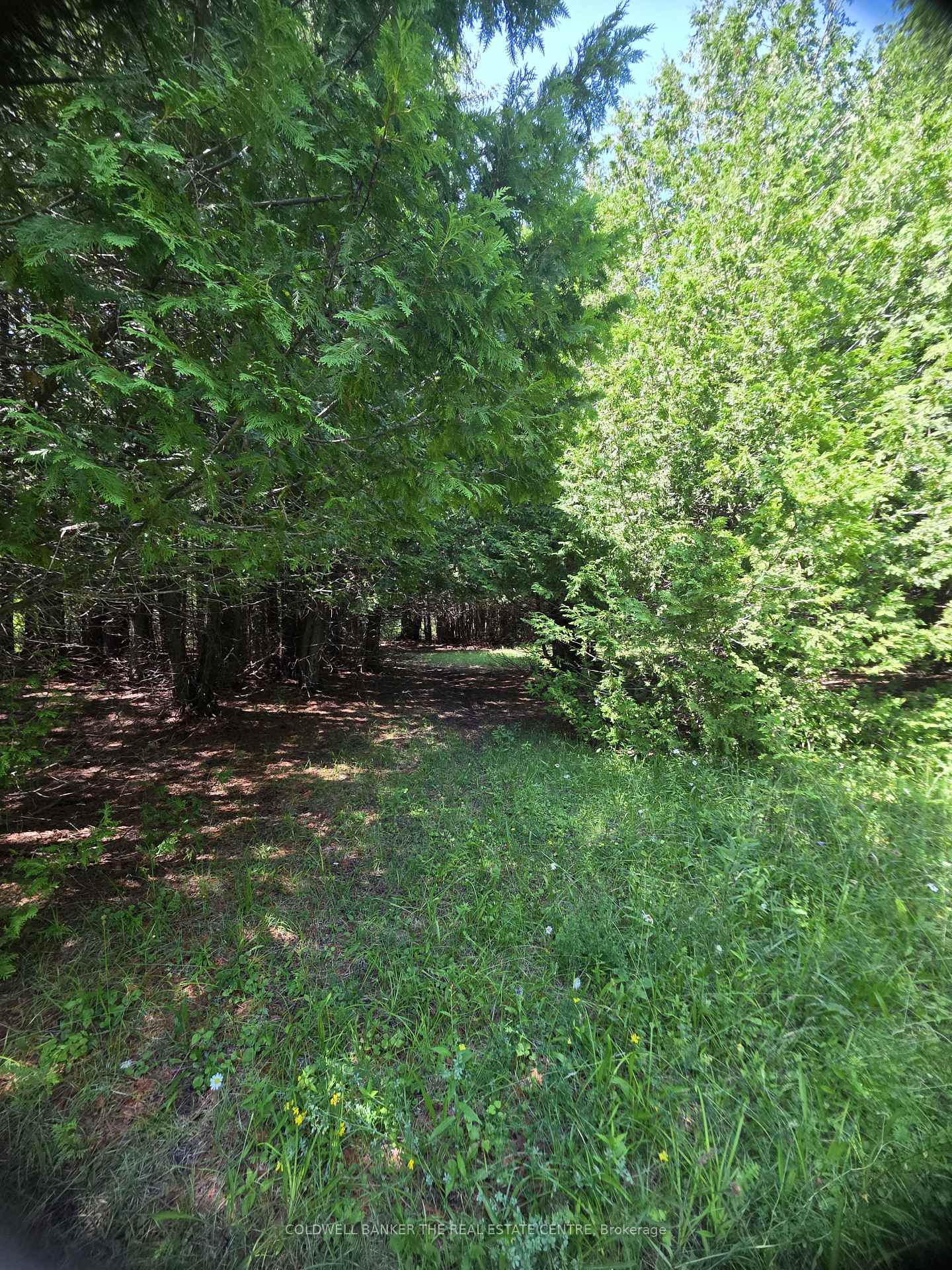 N/A Government Road W, Tehkummah, ON, exterior