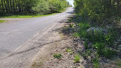 26 Luffman Road, Tweed, ON, exterior