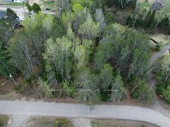 PTLT 177/8 Murray Park Street, Madawaska Valley, ON, exterior