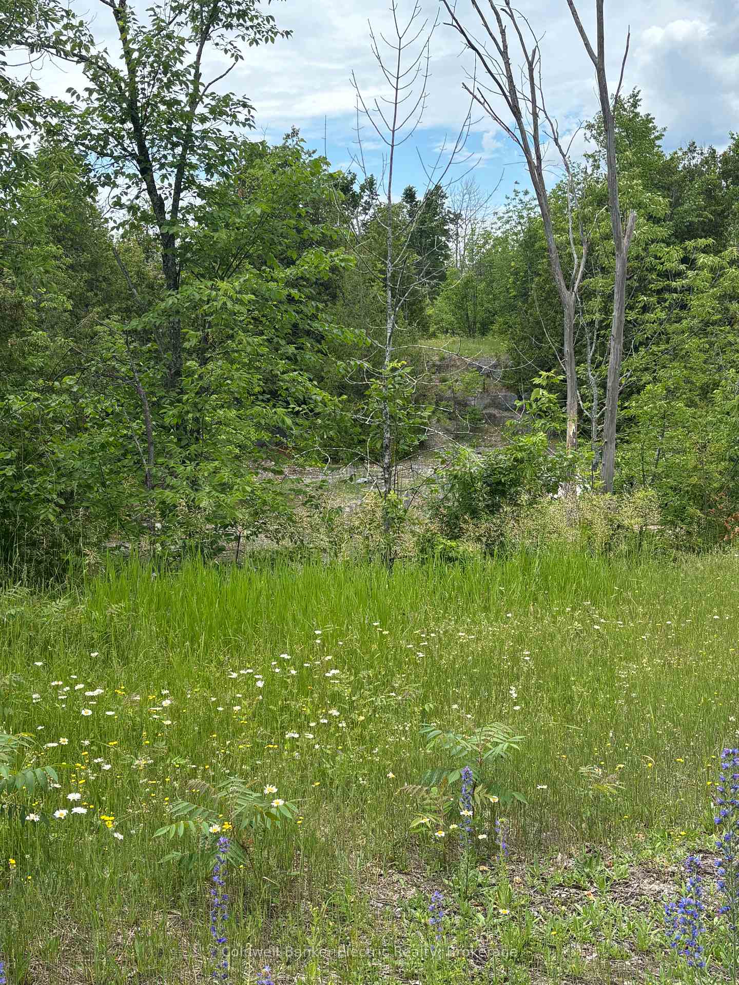 0 Tower Road, Madoc, ON, exterior