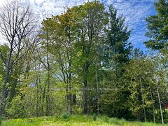 48 Gordon Crescent, Meaford, ON, exterior