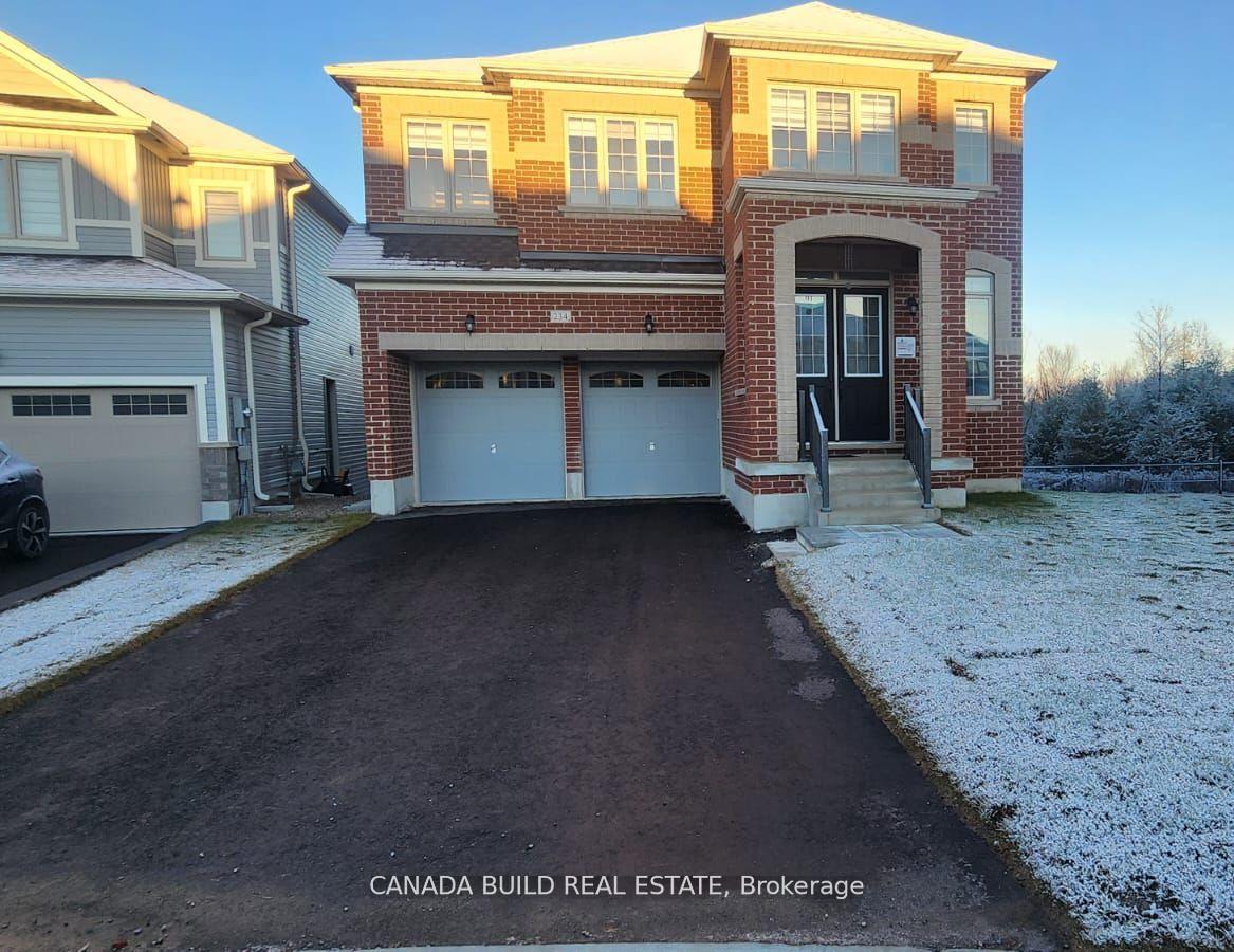 234 Chippewa Avenue, Shelburne, ON, exterior