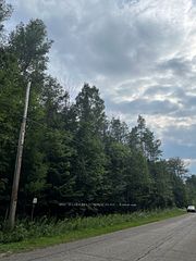 21 Peter Avenue, Tiny, ON, exterior