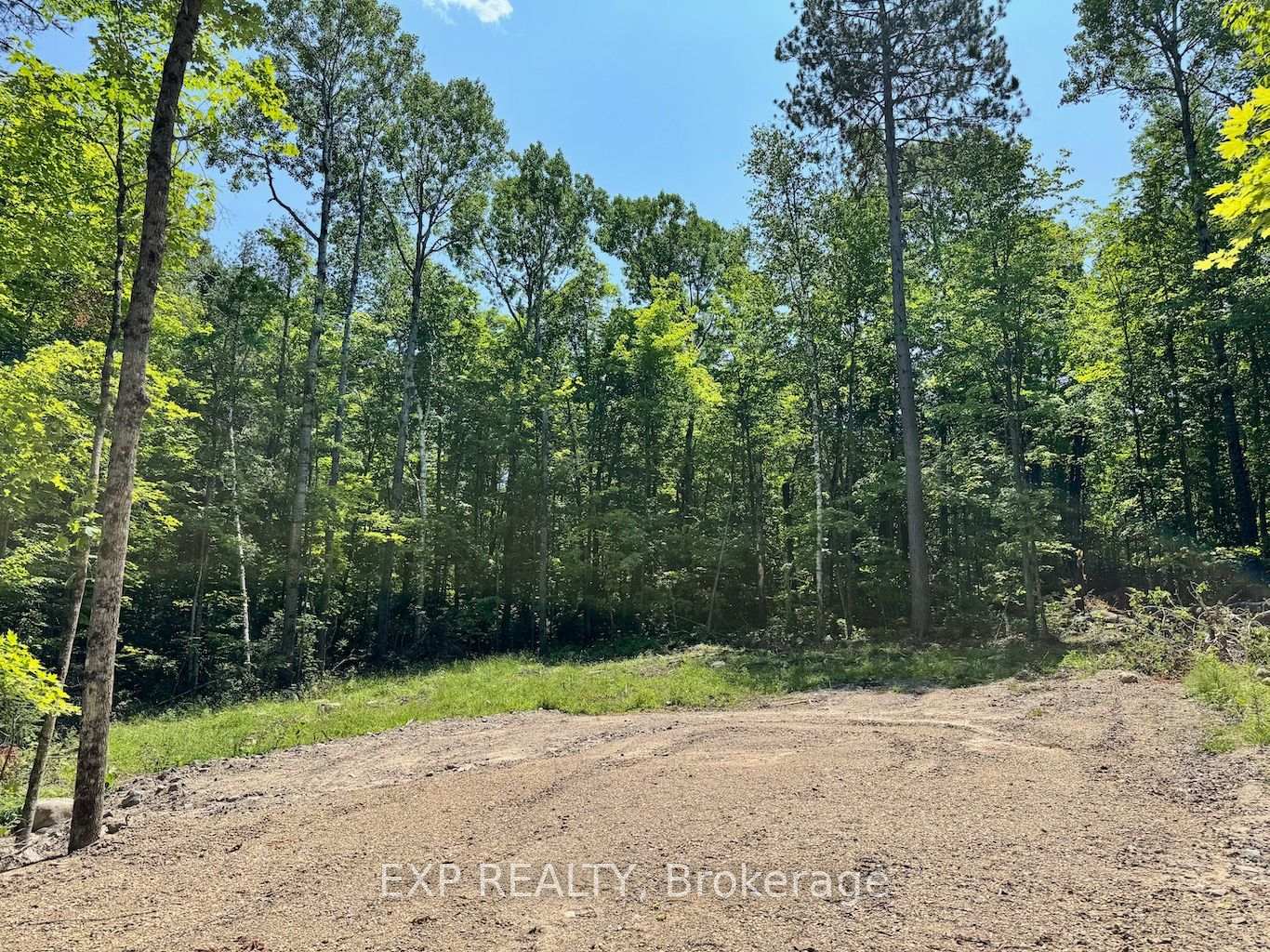 Lot 16 Lakewoods Drive, Madawaska Valley, ON, exterior
