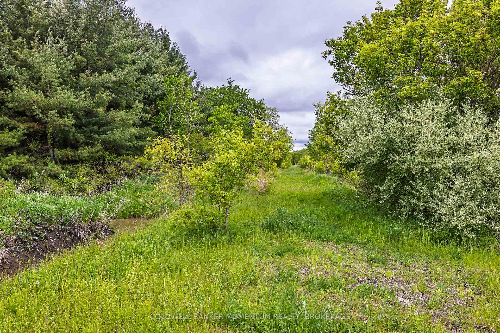 1969 Hutchinson Road, Haldimand, ON, exterior
