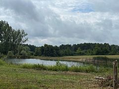 0 Shaws Creek Road, Caledon, ON, exterior