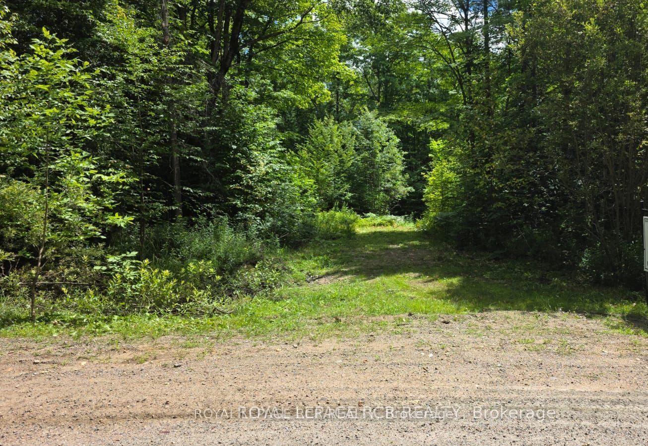 1414 Madill Road, Highlands East, ON, exterior