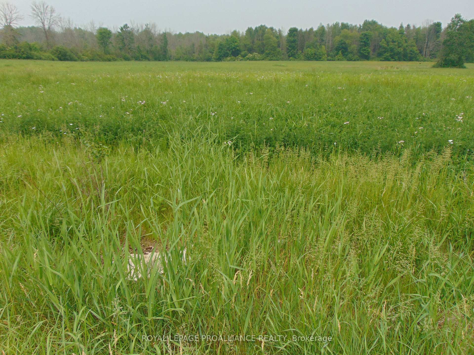 00 Charleville Road N, Augusta, ON, exterior