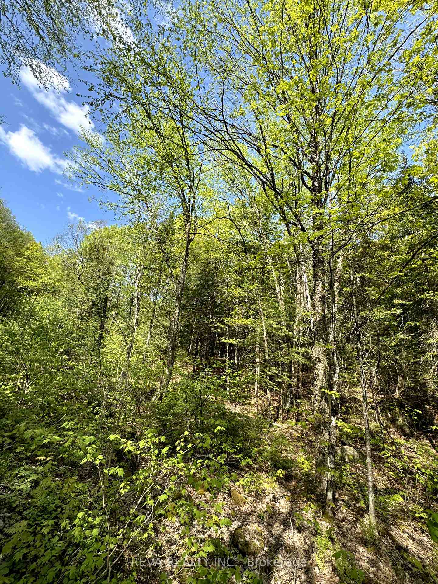 0 Salmon Trout Lake Road, Hastings Highlands, ON, exterior