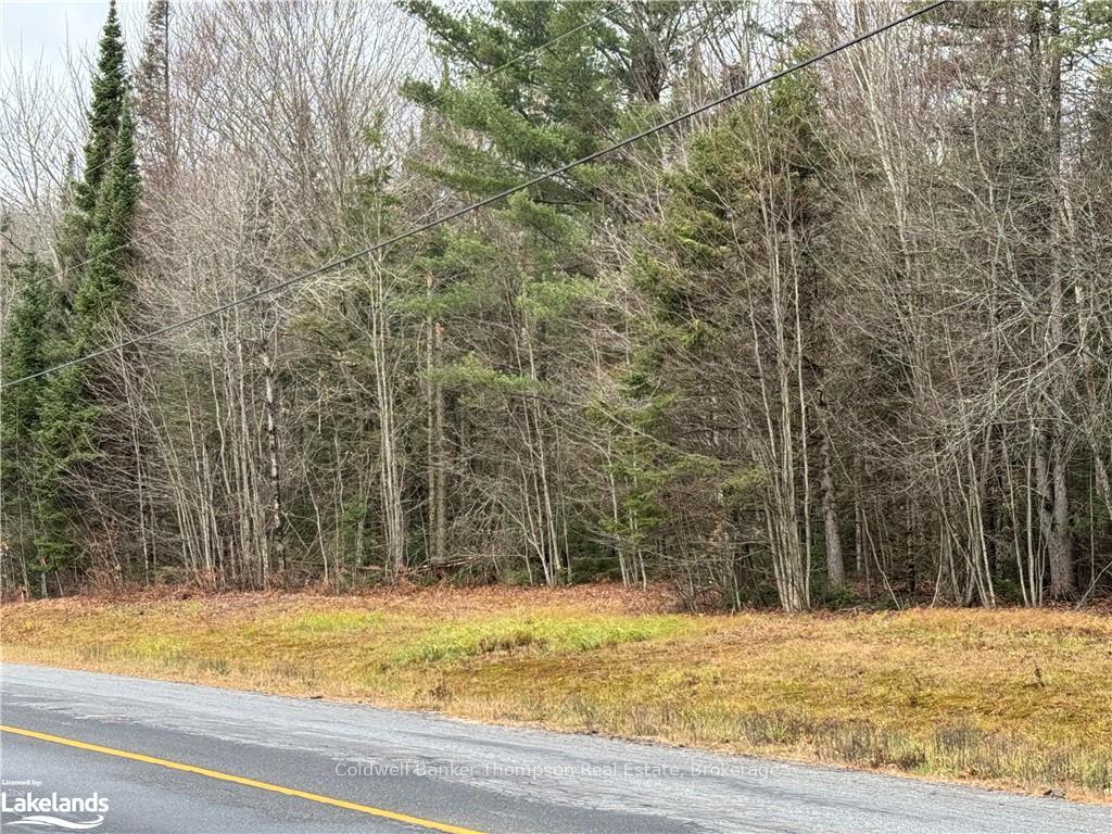 LOTS 1, 2 & 3 HIGHWAY 518 W N/A, McMurrich/Monteith, ON, exterior