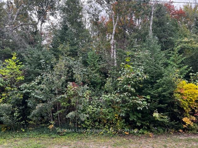 3 SHORE Road, Saugeen Shores, ON, exterior