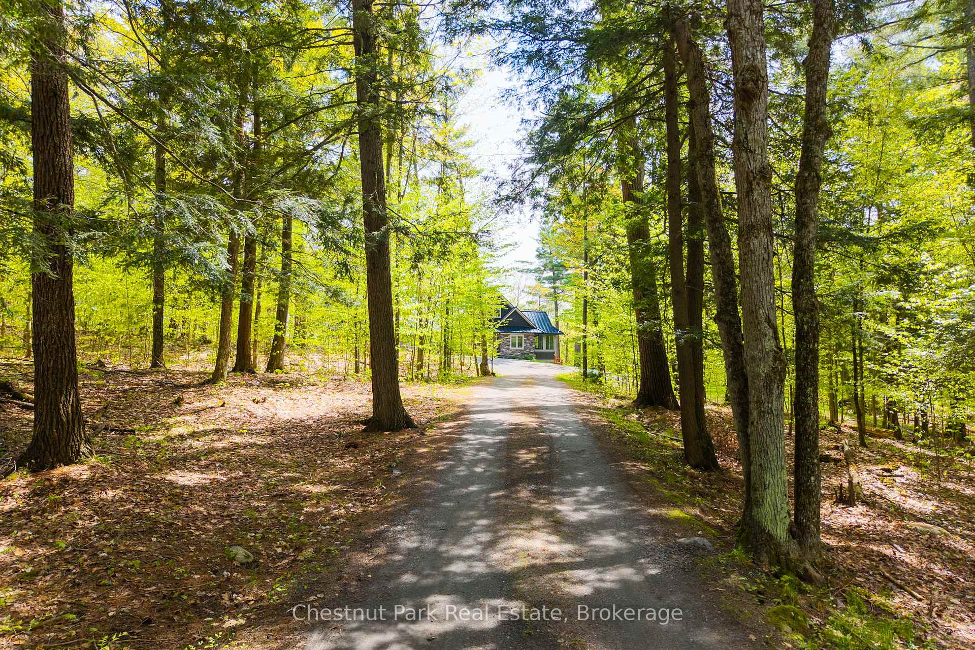 30 Stephen Road, Muskoka Lakes, ON, exterior